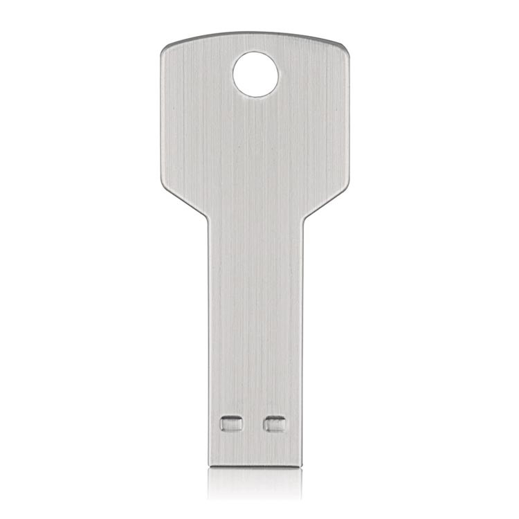 4Gb 8Gb 16Gb 32Gb 64Gb 128Gb 256Gb Metal Silver Pendrive Usb Key Ring Shape Encryption Flash Drive